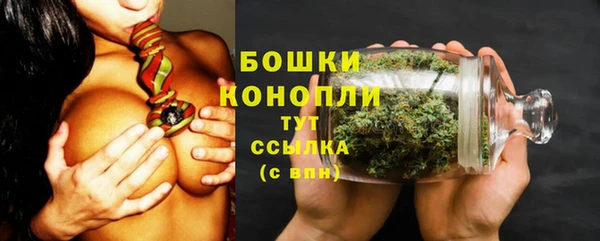 ПСИЛОЦИБИНОВЫЕ ГРИБЫ Арсеньев