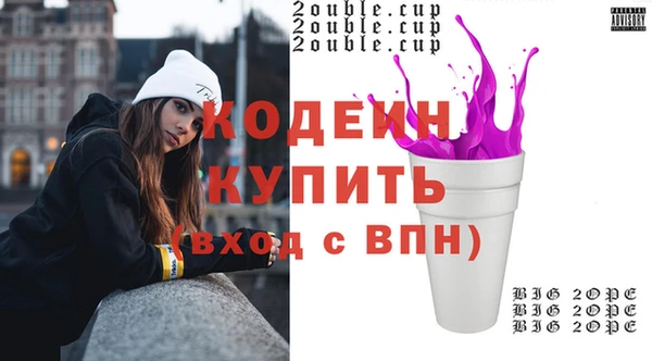 ПСИЛОЦИБИНОВЫЕ ГРИБЫ Арсеньев