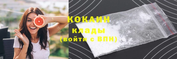 ПСИЛОЦИБИНОВЫЕ ГРИБЫ Арсеньев