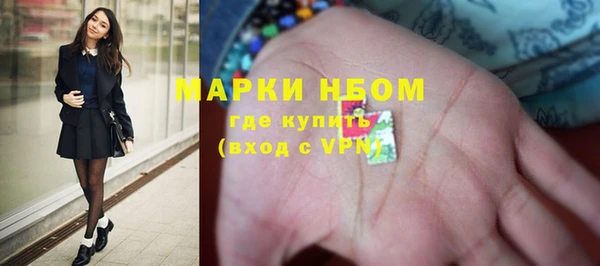 ПСИЛОЦИБИНОВЫЕ ГРИБЫ Арсеньев