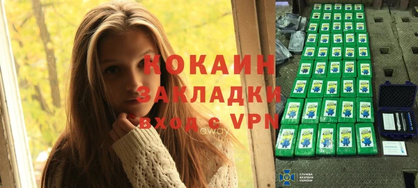 ПСИЛОЦИБИНОВЫЕ ГРИБЫ Арсеньев