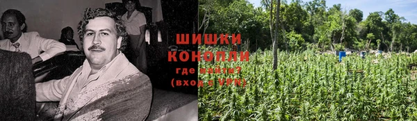 ECSTASY Армянск