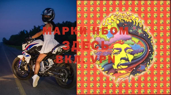 ПСИЛОЦИБИНОВЫЕ ГРИБЫ Арсеньев